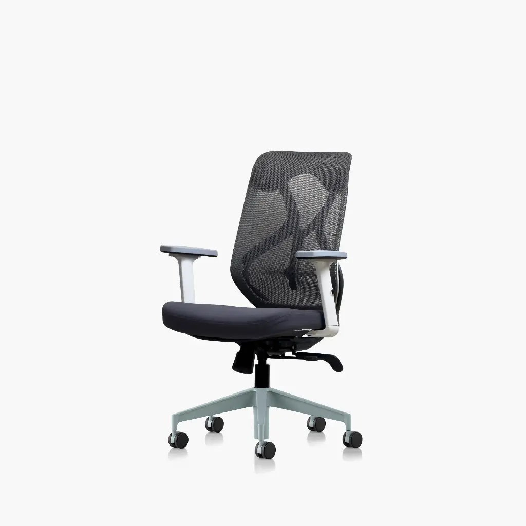 Ergolux MB